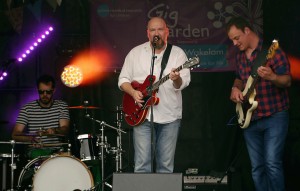 Tim Lee Live Gig In The Garden 2015 1